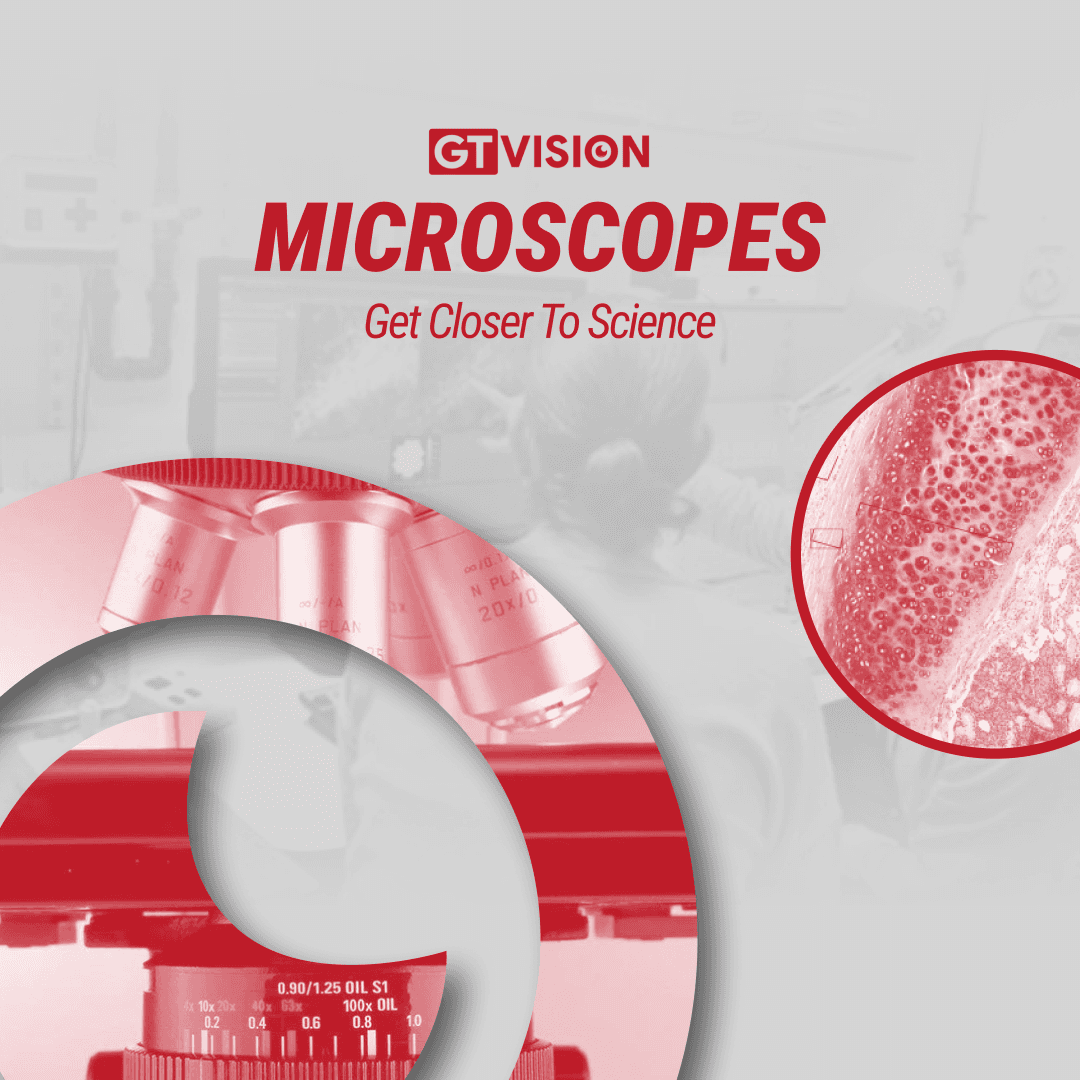 GT Vision · Google Display Campaign, 2024