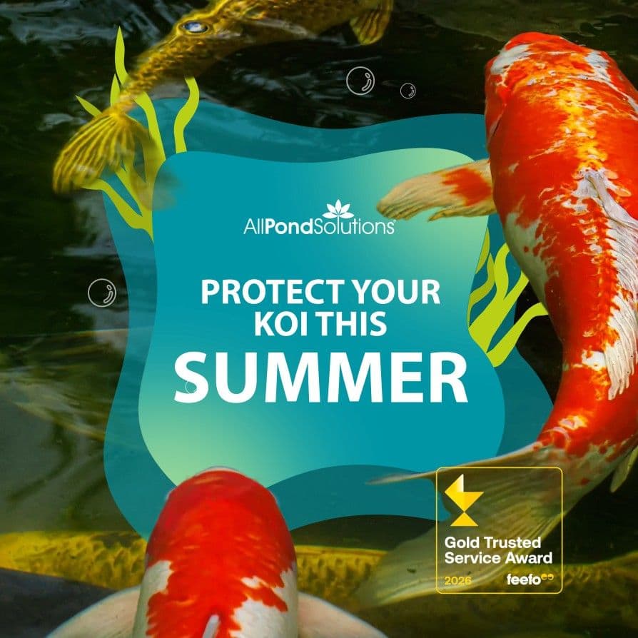 All Pond Solutions · Social, 2026