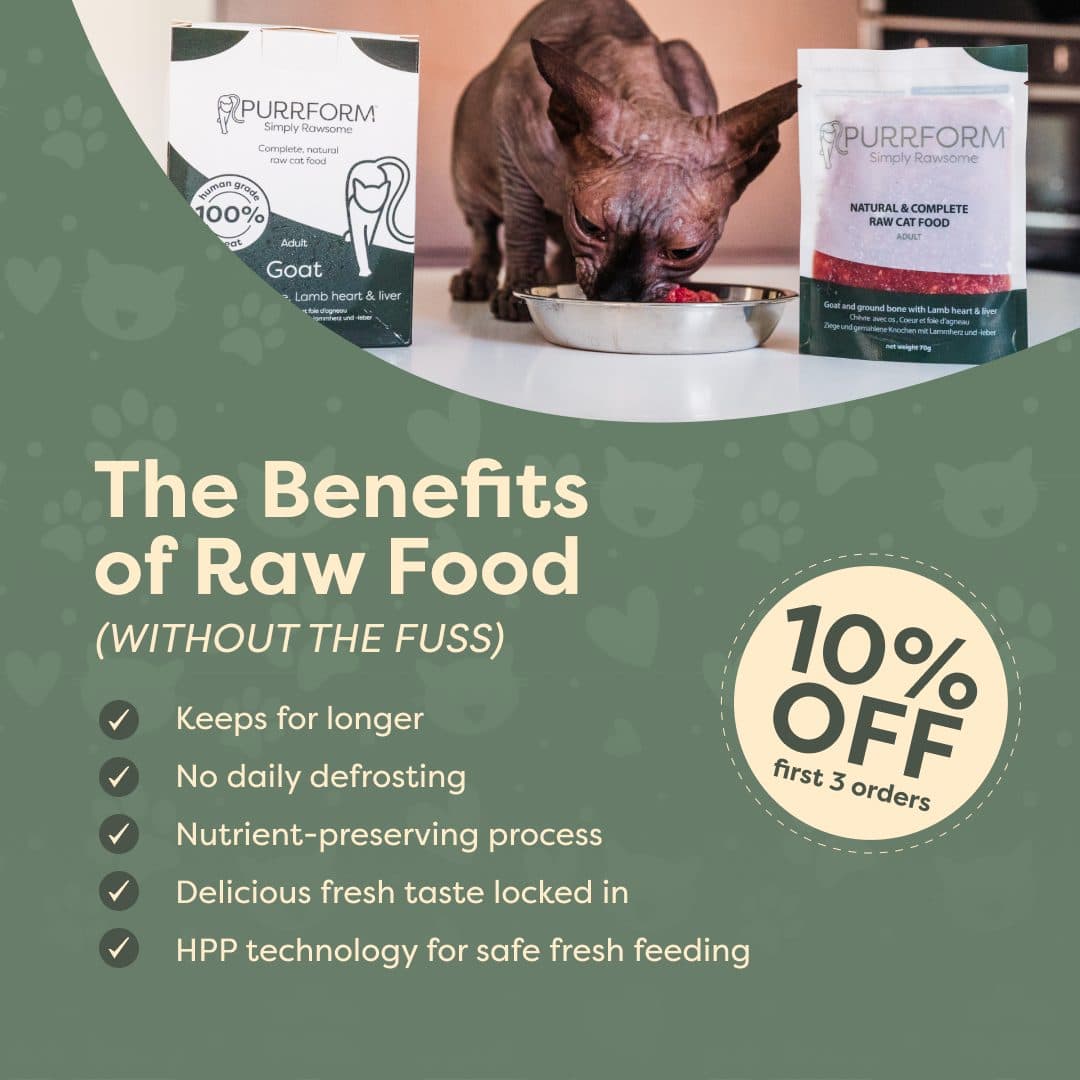 Feed ad designed for Purrform