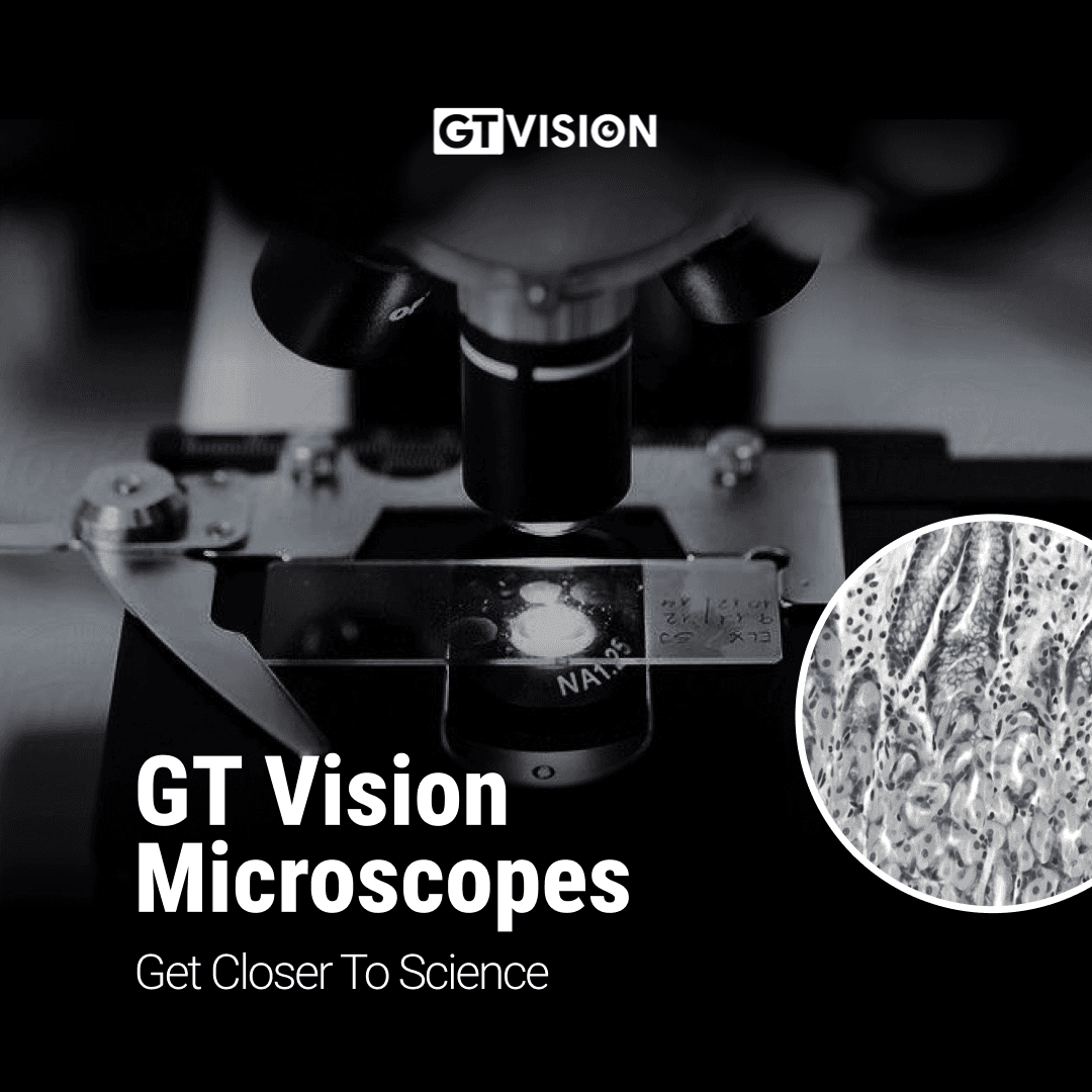 GT Vision · Google display Campaign, 2025